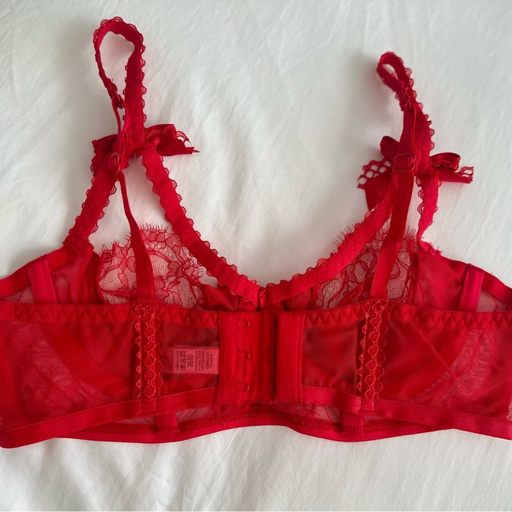 Agent Provocateur Scarlet Lace Bra - Picture 2 of 5